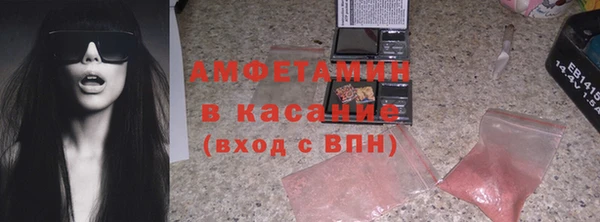 шишки Верея