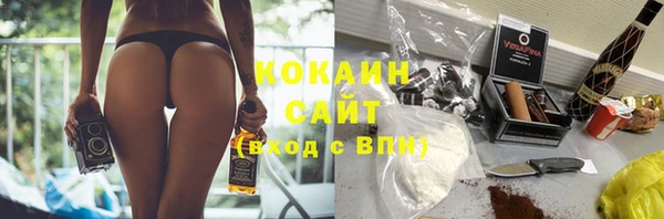 шишки Верея