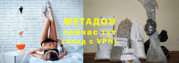 шишки Верея
