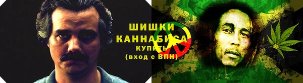 mdpv Волоколамск
