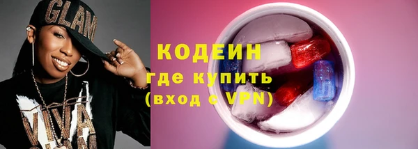 шишки Верея