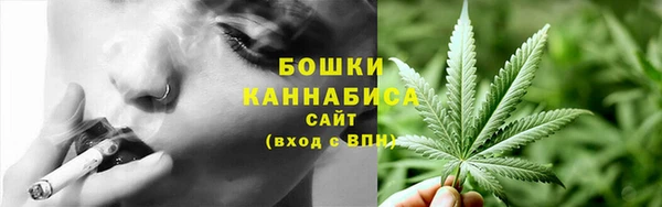 шишки Верея