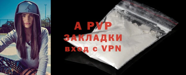 шишки Верея