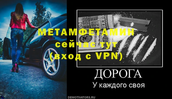 шишки Верея