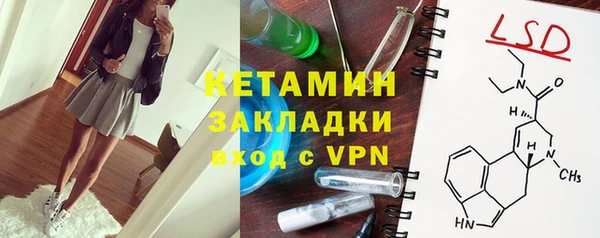 шишки Верея