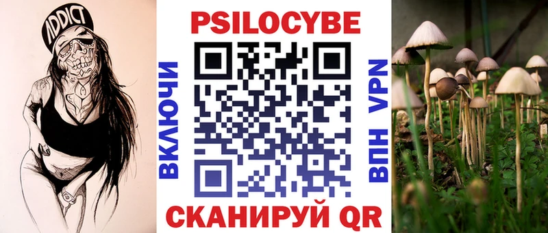 Галлюциногенные грибы Psilocybe  магазин продажи наркотиков  Высоковск 