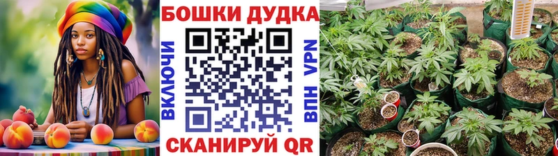 гидра ссылка  Высоковск  Марихуана SATIVA & INDICA 
